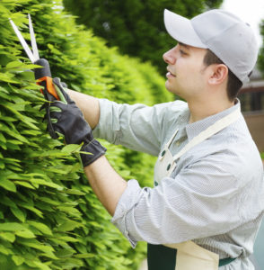 4 Ways A Landscape Service Can Help Your Business